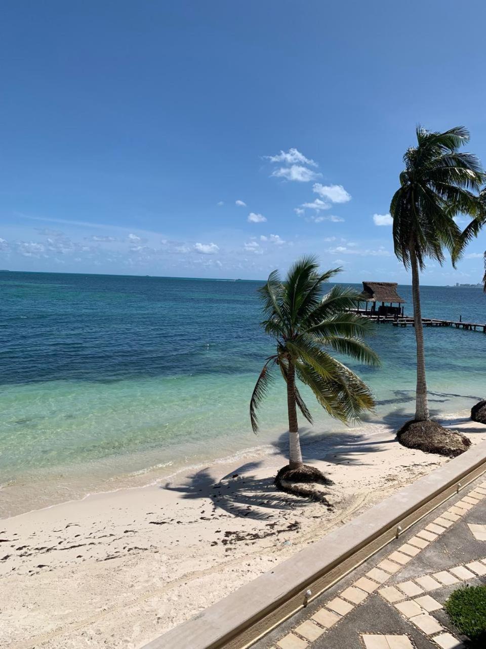 Cancun Ocean View Flamingo Plus Экстерьер фото