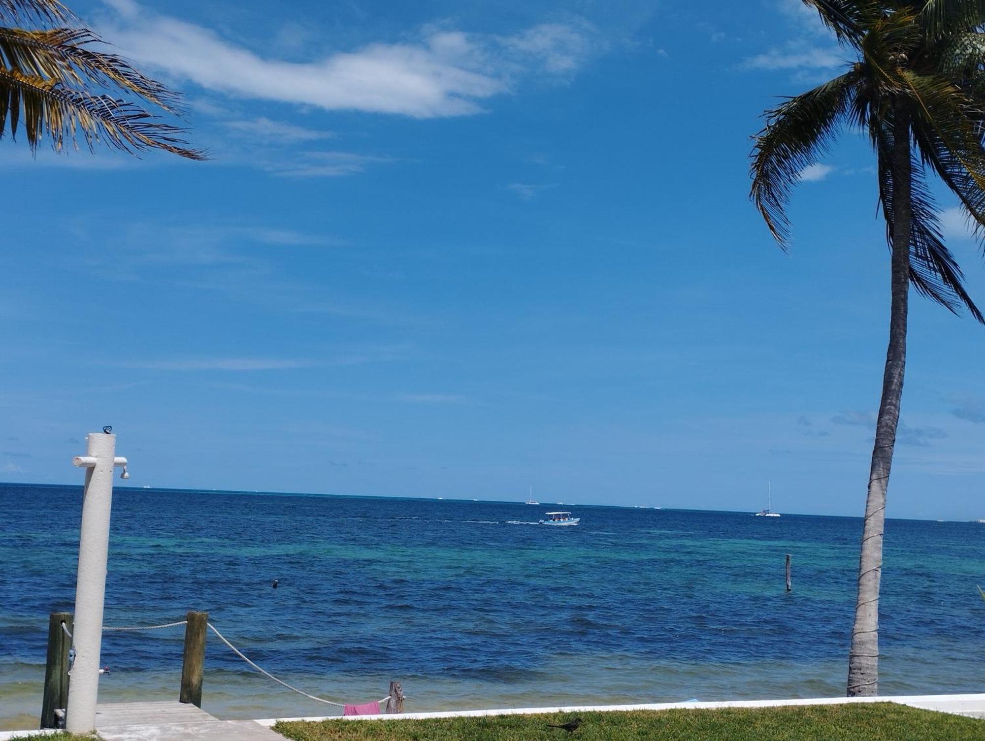 Cancun Ocean View Flamingo Plus Экстерьер фото